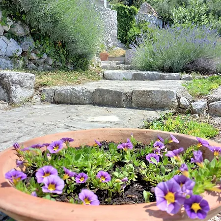Vila Cascading Nebbo Dubrovnik *
